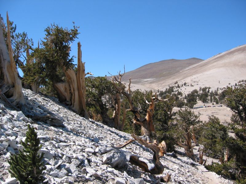 2003-09-20 White (68)